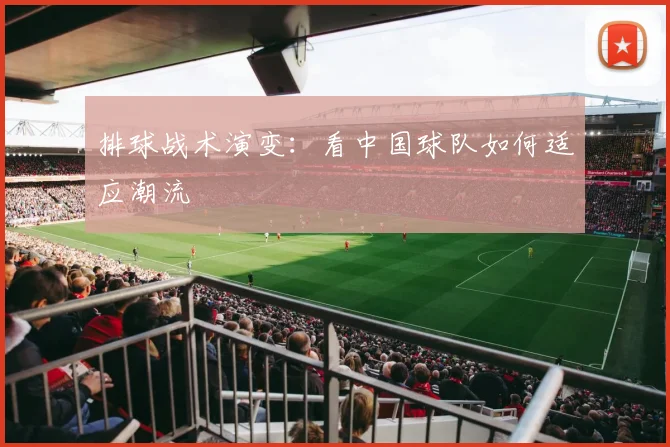 排球战术演变：看中国球队如何适应潮流