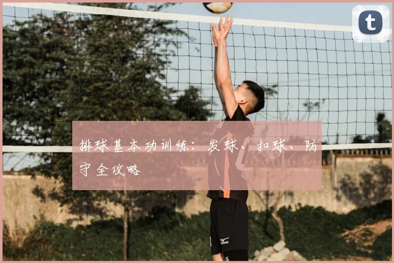 排球基本功训练：发球、扣球、防守全攻略
