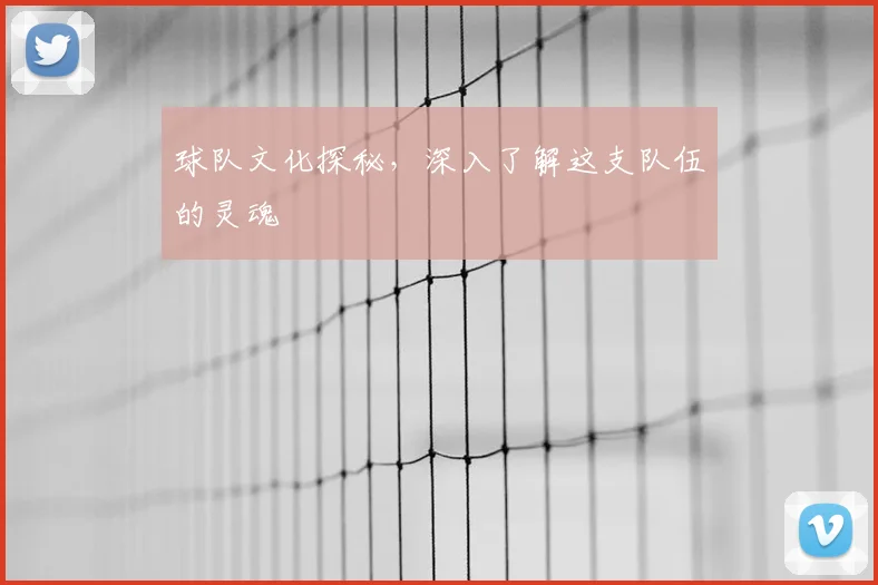 球队文化探秘,深入了解这支队伍的灵魂