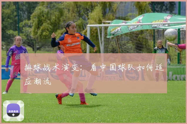 排球战术演变：看中国球队如何适应潮流